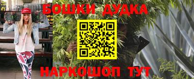 прущие грибы Апшеронск